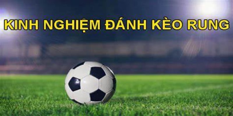 Chọn thời điểm thích hợp để đặt kèo rung