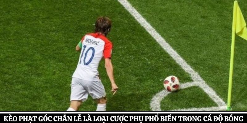 Kèo phạt góc chẵn lẻ là loại cược phụ phổ biến trong cá độ bóng đá