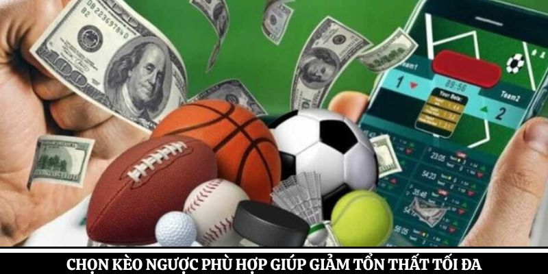 Chọn kèo ngược phù hợp giúp giảm tổn thất tối đa